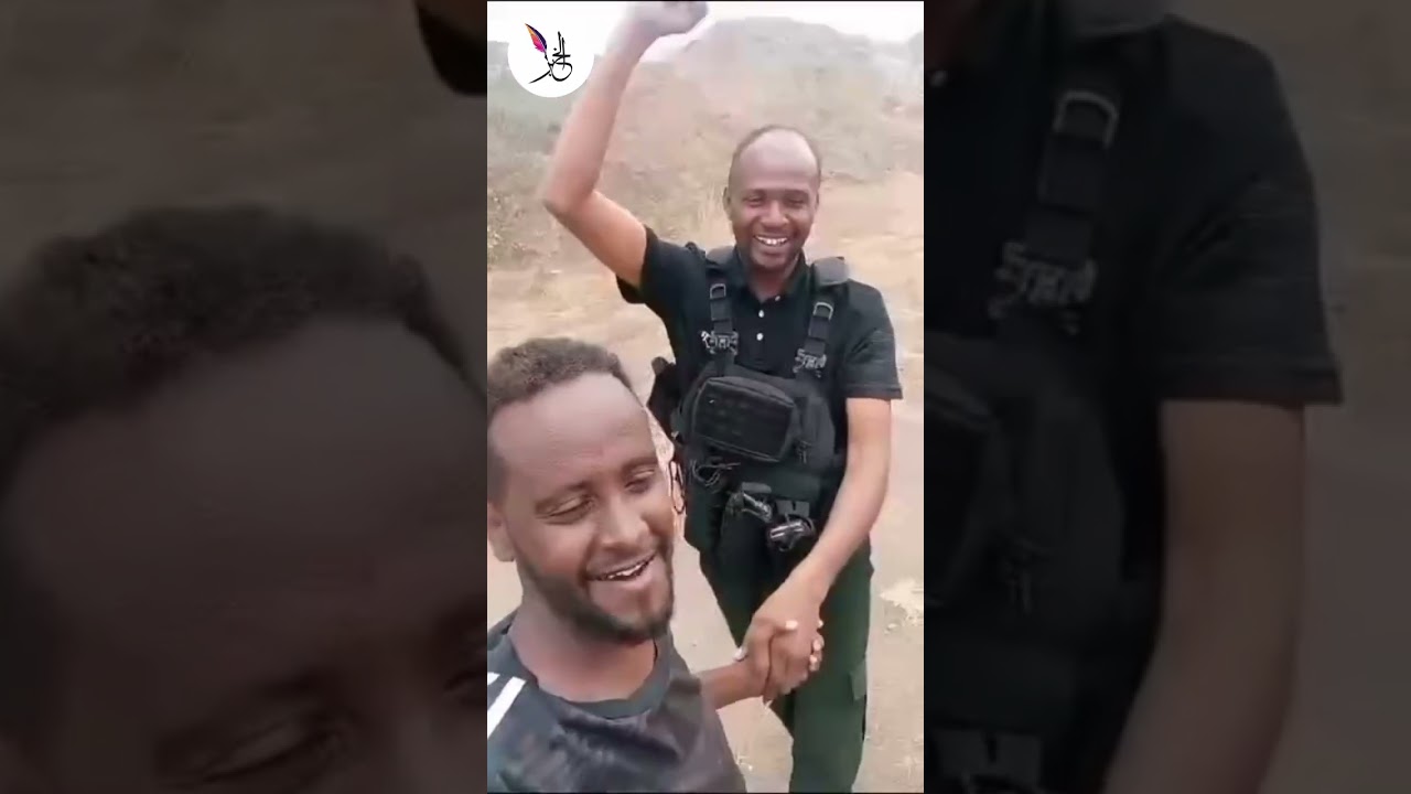 شاهد.. الجيش السوداني يسترد السوكي من قبضة الدعم السريع #شبكة الخبر