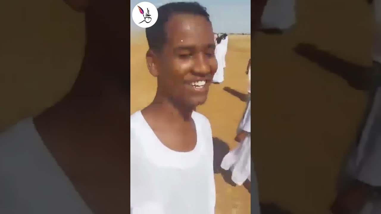 شاهد.. الجيش السوداني يتقدم في ولاية الجزيرة # شبكة الخبر
