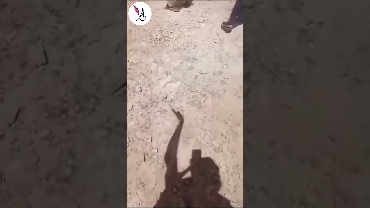 متداول.. طيران الجيش السوداني يشن هجمات على جبل عامر بولاية شمال دارفور #شبكة_الخبر