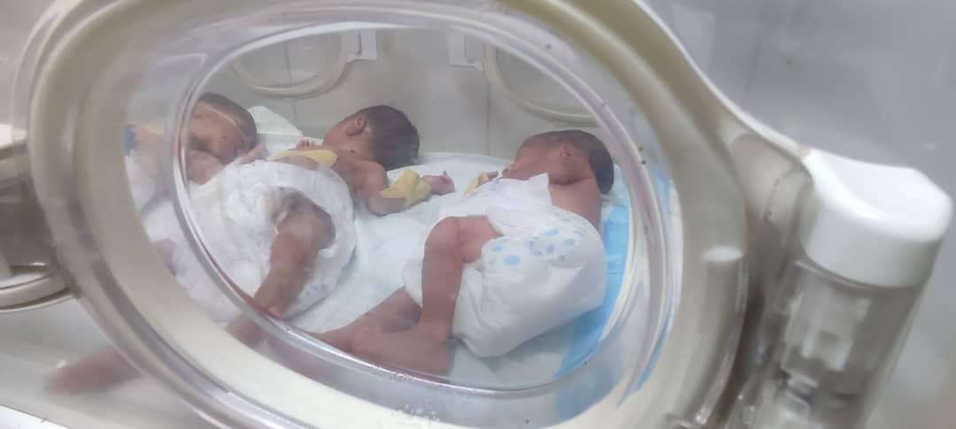 شهد مستشفى القضارف التأهيلي للنساء والتوليد ولادة توائم "أربعة إناث". عبر عملية قيصرية ناجحة أجراها د. رفعت عبدالقادر.