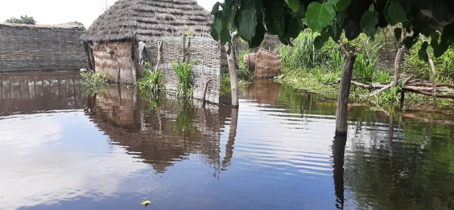 شكا سكان بمحلية أم دافوق بولاية جنوب دارفور الحدودية مع أفريقيا الوسطى من أوضاع إنسانية وبيئة متردية كارثية خلفتها مياه سد “أم دافوق” بعد تعرضه لانهيار جزئي.