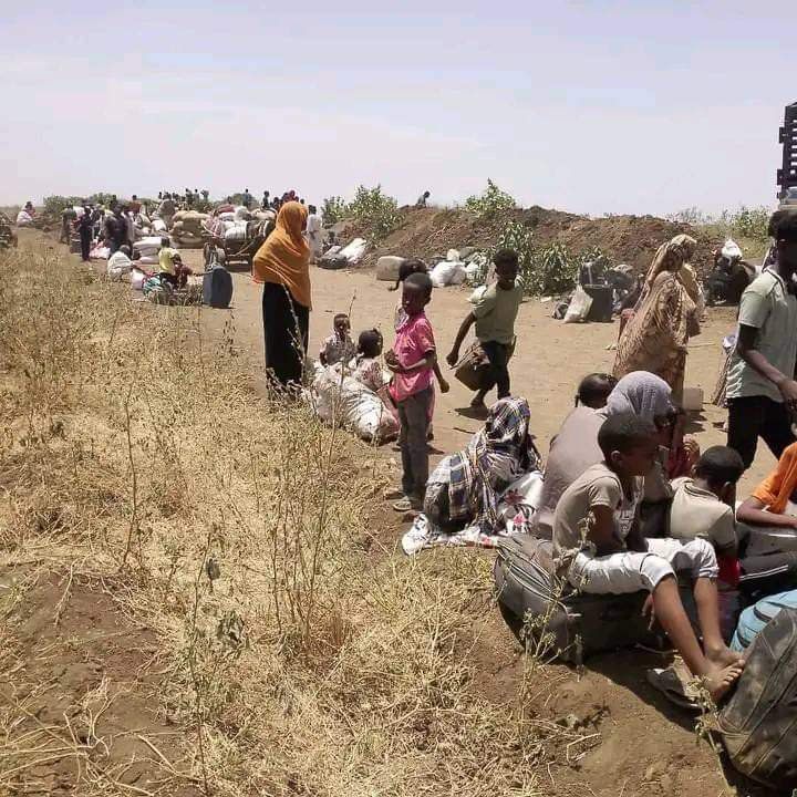 اتهم مرصد «مؤتمر الجزيرة» كيان مدني «قوات الدعم السريع» بالسودان، اليوم (الخميس)، بقتل 14 شخصاً وإصابة 30 آخرين بإحدى قرى جنوب ولاية الجزيرة.