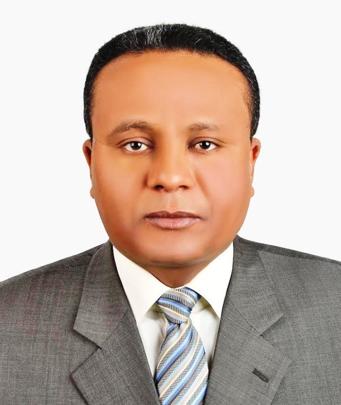 كتاب: سليم أغا: ملحمة أحد ضحايا الاسترقاق، تأليف جيمس مكارثي، ترجمة ياسر عَـبِـيدِى بَرْدَويل، 2024