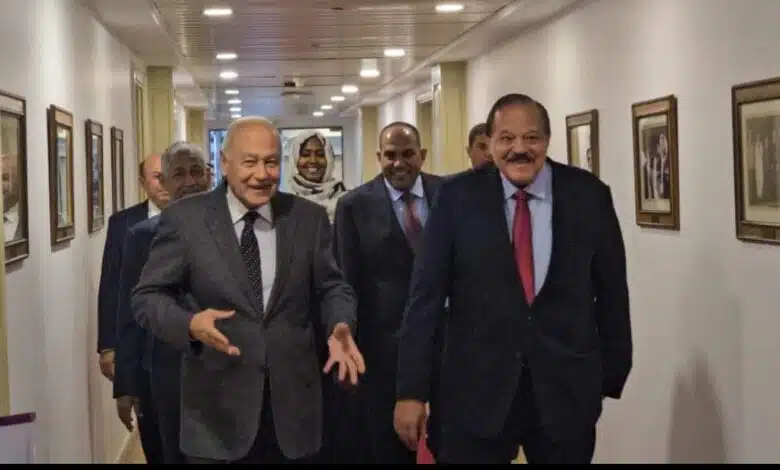 استهل وزير الخارجية المكلّف علي يوسف أولى لقاءاته في القاهرة بالأمين العام لجامعة الدول العربية أحمد أبوالغيط.