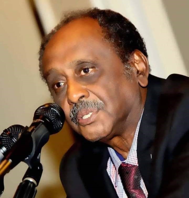 ولد هاشم صديق في حي شرق بمدينة أم درمان بالسودان في عام 1937، وأبوه هو صديق الملك علي، وأمه هي آمنة بنت محمد طاهر.. التحق هاشم أولاً بروضة الأستاذة آمال حسن مختار في مسقط رأسه قبل أن يبدأ تعليمه الأولي بمدرسة أبو عنجة الأولية في أم درمان، ثم انتقل إلى مدارس الأحفاد.