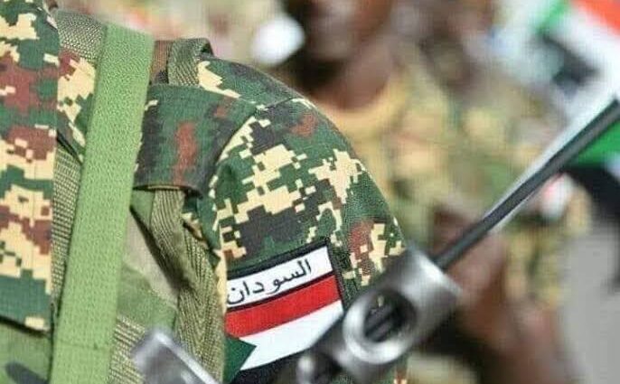 أعلن الجيش السوداني سيطرته على منطقة التروس الفاصلة بين ولاية سنار ودولة جنوب السودان