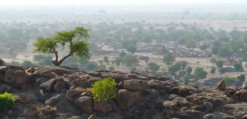 قال القيادي بالكتلة الديمقراطية مبارك أردول إن قوات الحركة الشعبية بقيادة عبدالعزيز الحلو قامت بارتكاب مجزرة حقيقية في مدينة كادقلي.