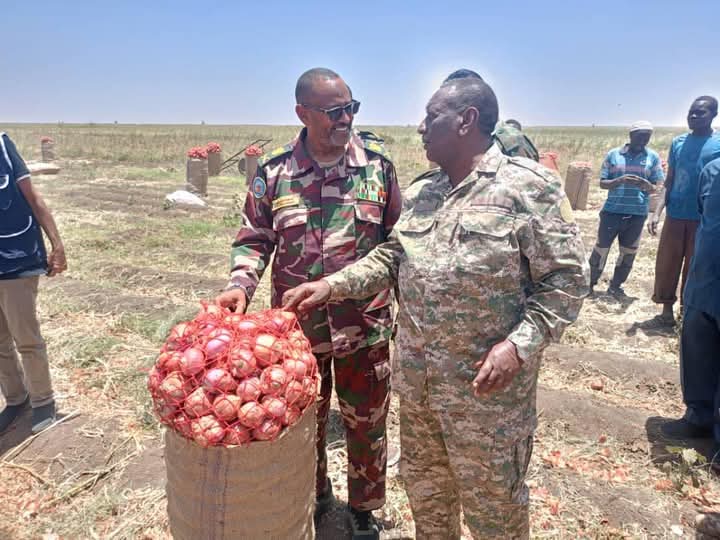 دعا  الطاهر إبراهيم الخير والي ولاية الجزيرة للاستفادة من من القيمة المضافة في المنتجات الزراعية.