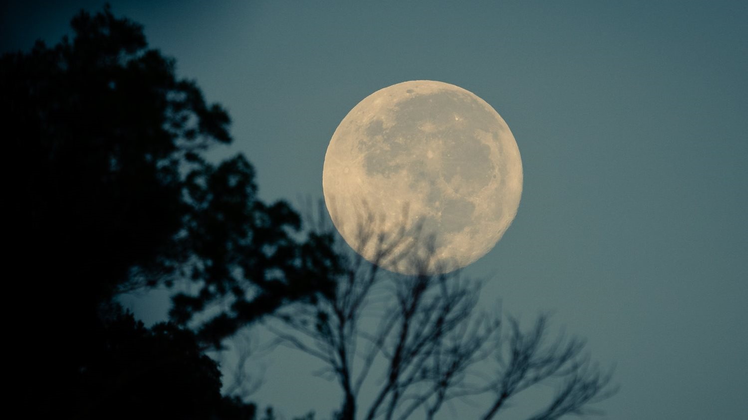 أدهش "قمر الحليب" مساء الإثنين السودانيين، بعدما أطلّ بلونه الأبيض اللامع وباستدارة كاملة، في مشهد خلاب وثّقه رواد مواقع التواصل الاجتماعي.