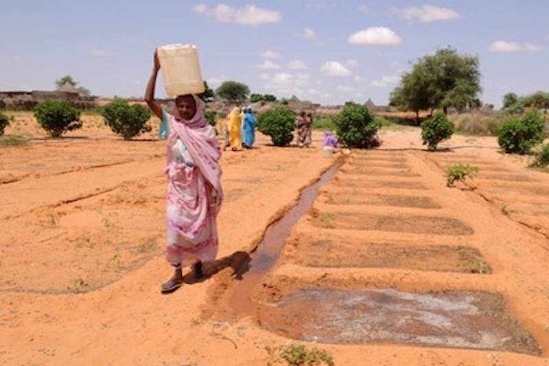 كشفت منظمة الهجرة الدولية، التابعة للأمم المتحدة، عن نزوح 7,204 أسرة من مدينتي النهود والخوي في ولاية غرب كردفان خلال الفترة بين 1 و2 مايو الجاري، جراء الاشتباكات العنيفة بين الجيش السوداني وقوات الدعم السريع