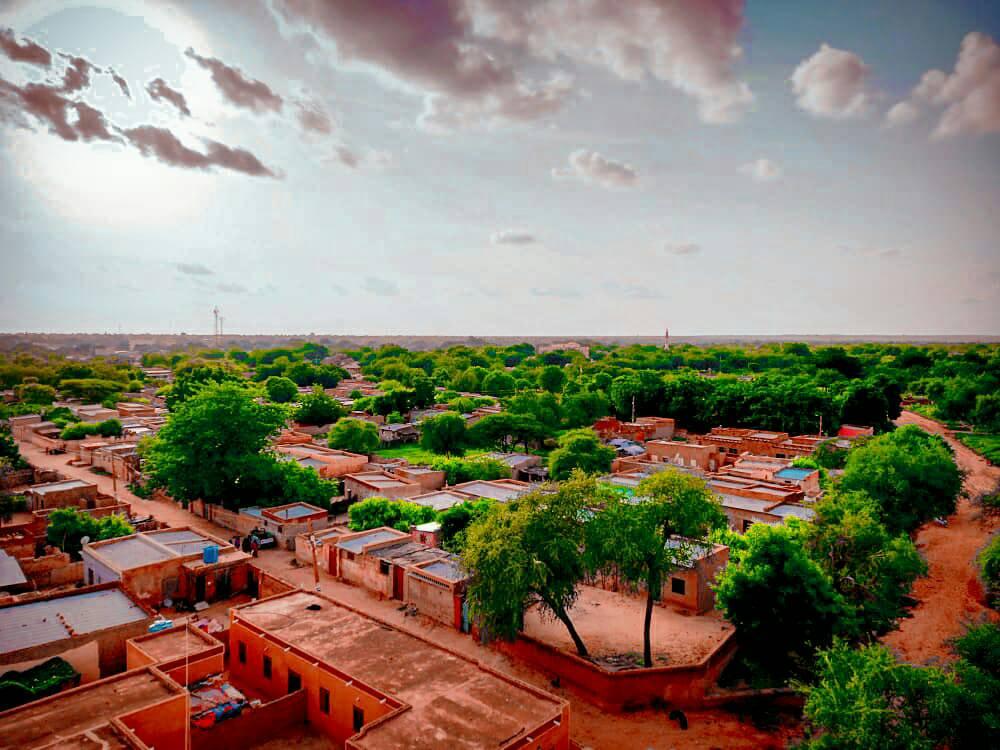 قالت غرفة طوارئ دار حمر إن مدينة النهود بولاية غرب كردفان تشهد أوضاعًا إنسانية مروعة، بعدما انتشرت جثث وأشلاء القتلى في شوارع المدينة